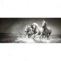 Panoramatická fototapeta - PA0125 - Jednorožce čiernobiele