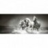 Panoramatická fototapeta - PA0125 - Jednorožce čiernobiele