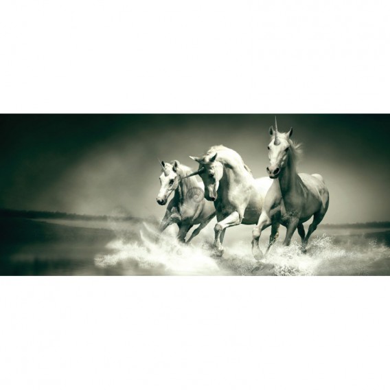 Panoramatická fototapeta - PA0127 - Jednorožce čiernobiele
