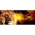 Panoramatická fototapeta - PA0129 - Lev