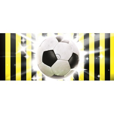 Panoramatická fototapeta - PA0133 - Futbalová lopta