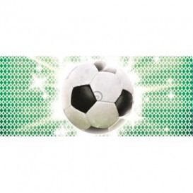 Panoramatická fototapeta - PA0135 - Futbalová lopta