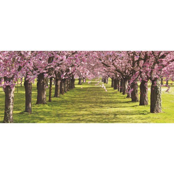 Panoramatická fototapeta - PA0142 - Ružové stromy