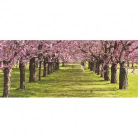 Panoramatická fototapeta - PA0142 - Ružové stromy