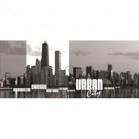 Panoramatická fototapeta - PA0147 - Americké mestá