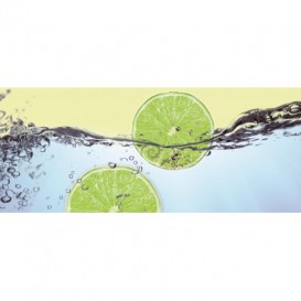 Panoramatická fototapeta - PA0153 - Limetky