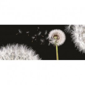 Panoramatická fototapeta - PA0157 - Púpava