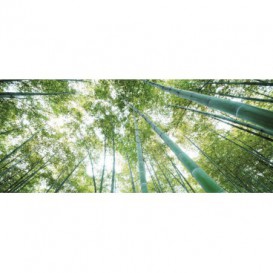 Panoramatická fototapeta - PA0166 - Stromy