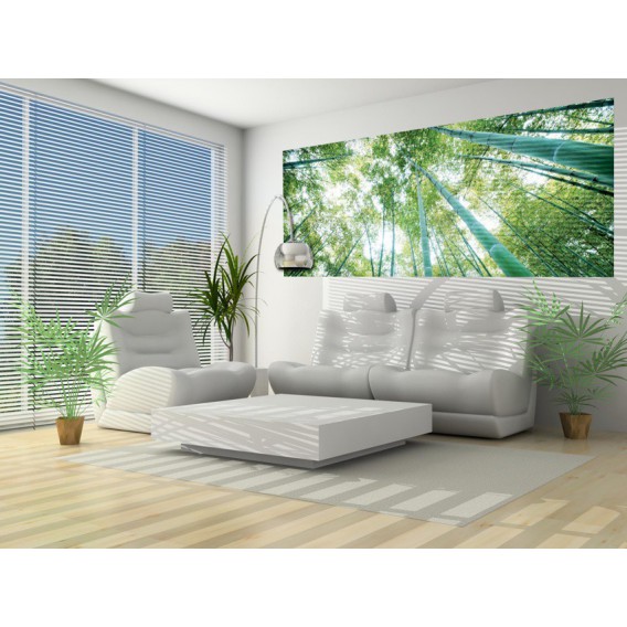 Panoramatická fototapeta - PA0166 - Stromy