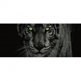 Panoramatická fototapeta - PA0168 - Zelený tiger