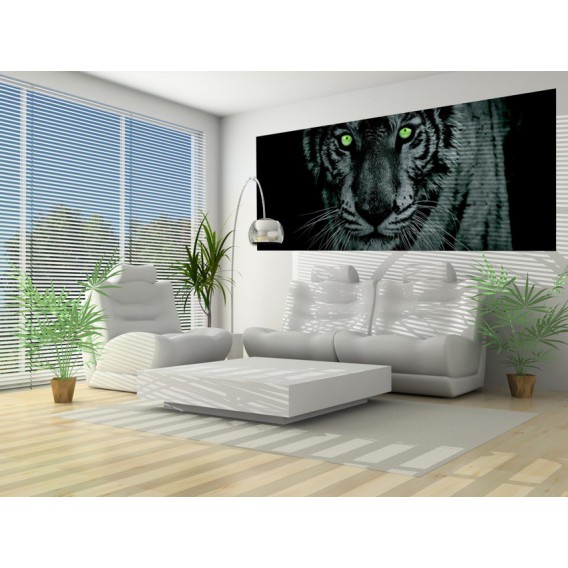 Panoramatická fototapeta - PA0168 - Zelený tiger