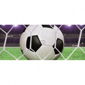 Panoramatická fototapeta - PA0169 - Futbalová lopta