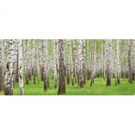 Panoramatická fototapeta - PA0170 - Stromy