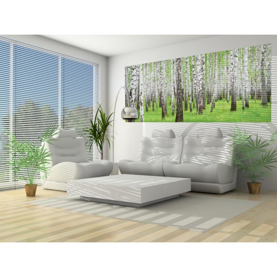 Panoramatická fototapeta - PA0170 - Stromy