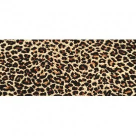 Panoramatická fototapeta - PA0175 - Leopardia