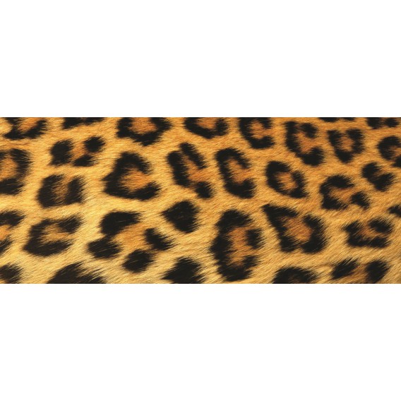 Panoramatická fototapeta - PA0176 - Leopardia