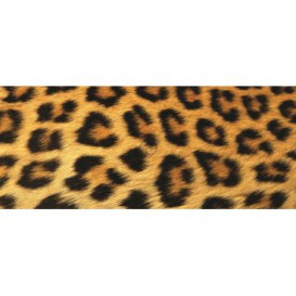 Panoramatická fototapeta - PA0176 - Leopardia