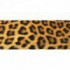 Panoramatická fototapeta - PA0176 - Leopardia