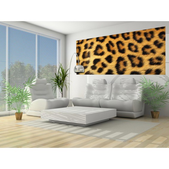 Panoramatická fototapeta - PA0176 - Leopardia