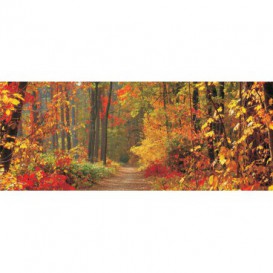 Panoramatická fototapeta - PA0193 - Les v jeseni