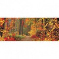 Panoramatická fototapeta - PA0193 - Les v jeseni