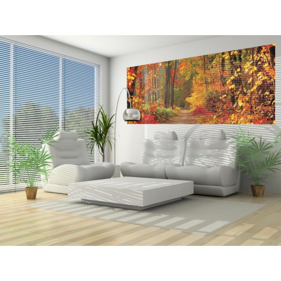 Panoramatická fototapeta - PA0193 - Les v jeseni