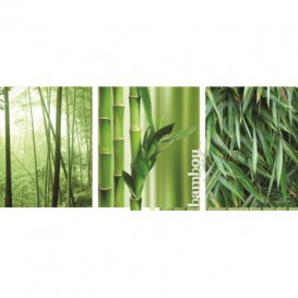 Panoramatická fototapeta - PA0235 - Bambus