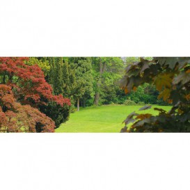 Panoramatická fototapeta - PA0237 - Les