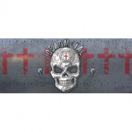 Panoramatická fototapeta - FT3853 - Lebka – sivá