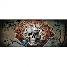 Panoramatická fototapeta - FT3861 - Lebka – hnedá