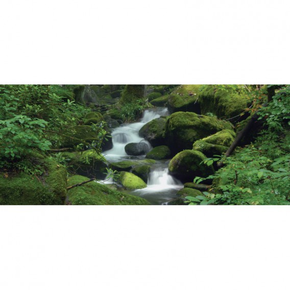 Panoramatická fototapeta - PA0002 - Les