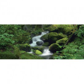 Panoramatická fototapeta - PA0002 - Les