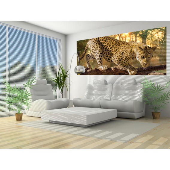 Panoramatická fototapeta - PA0003 - Leopard