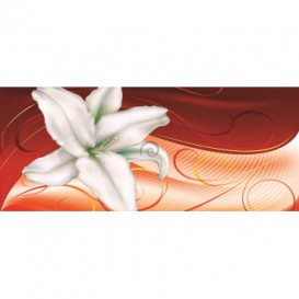 Panoramatická fototapeta - PA0009 - Biely kvet