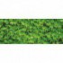 Panoramatická fototapeta - PA0016 - Zelené listy