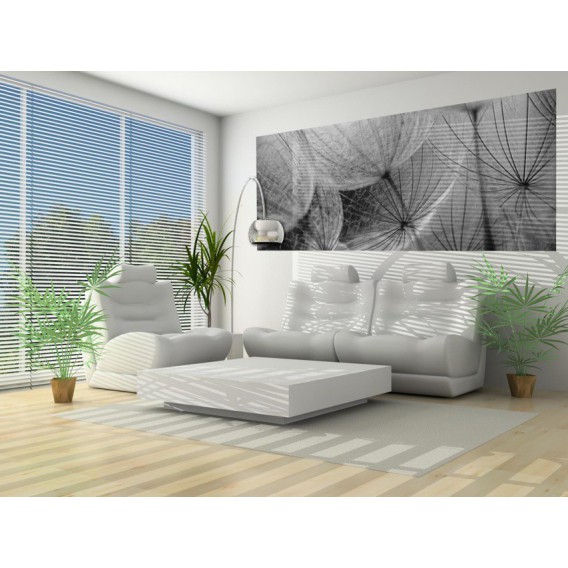 Panoramatická fototapeta - PA0017 - Čiernobiela púpava