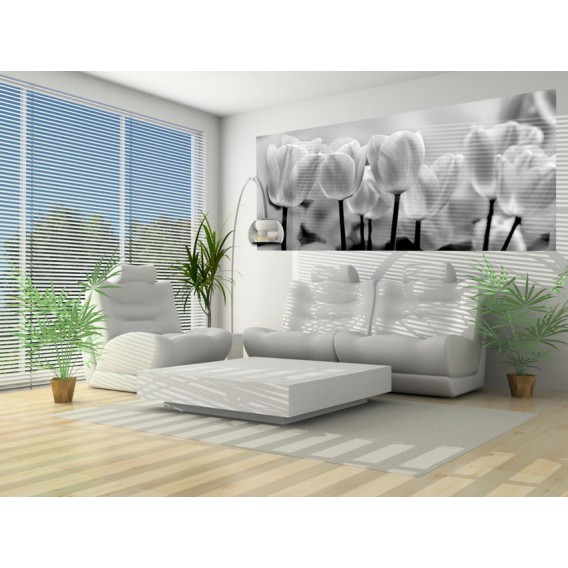 Panoramatická fototapeta - PA0021 - Čiernobiele tulipány