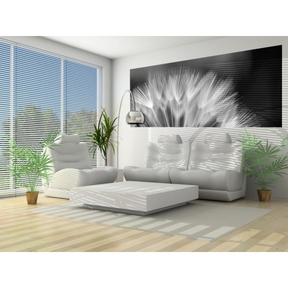 Panoramatická fototapeta - PA0023 - Čiernobiela púpava