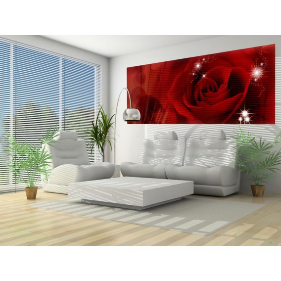 Panoramatická fototapeta - PA0026 - Červená ruža