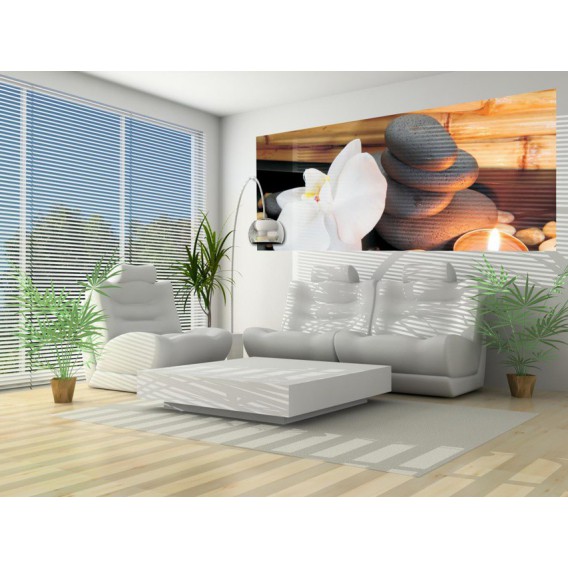 Panoramatická fototapeta - PA0027 - Biely kvet a kamienky