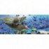 Panoramatická fototapeta - PA0028 - Delfíny