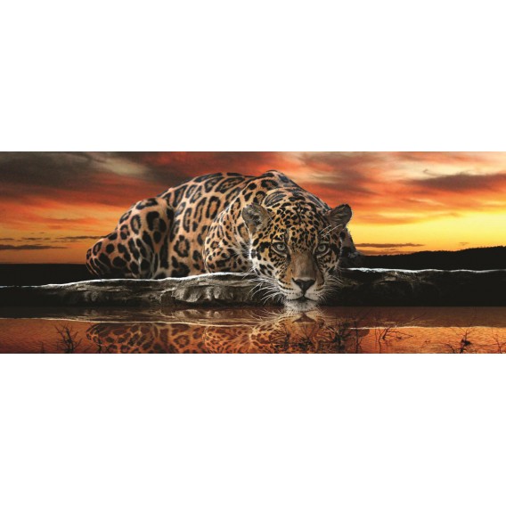 Panoramatická fototapeta - PA0031 - Jaguár