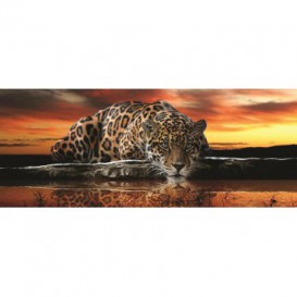 Panoramatická fototapeta - PA0031 - Jaguár