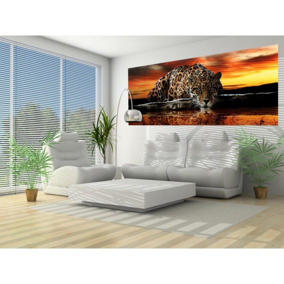 Panoramatická fototapeta - PA0031 - Jaguár