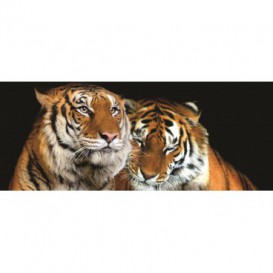 Panoramatická fototapeta - PA0032 - Tigre