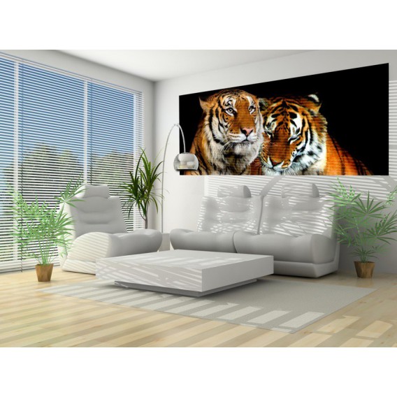 Panoramatická fototapeta - PA0032 - Tigre