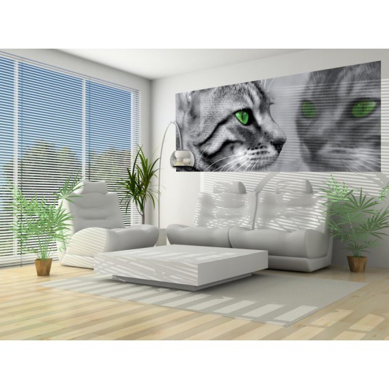 Panoramatická fototapeta - PA0247 - Mačka