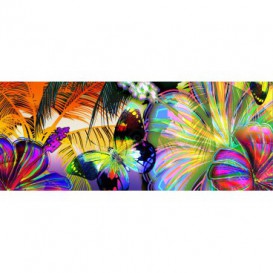 Panoramatická fototapeta - PA0254 - Farebné motýle