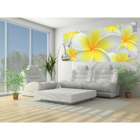 Panoramatická fototapeta - PA0290 - Žltobiely kvet