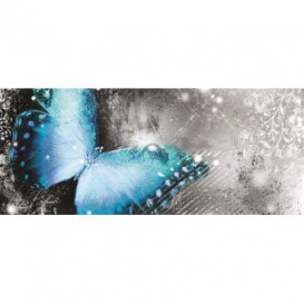 Panoramatická fototapeta - PA0323 - Modrý motýľ